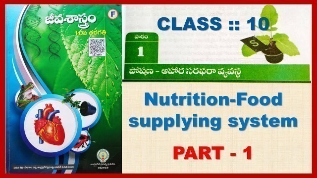 'NUTRITION-FOOD SUPPLYING SYSTEM PART-1 || పోషణ - ఆహార సరఫరా వ్యవస్థ పార్ట్-1'