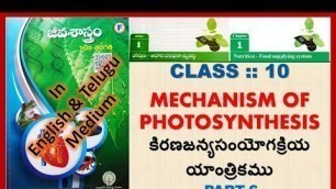 'MECHANISM OF PHOTOSYNTHESIS||NUTRITION-FOOD SUPPLYING SYSTEM'