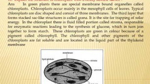 '1.     Nutrition – Food supplying system'