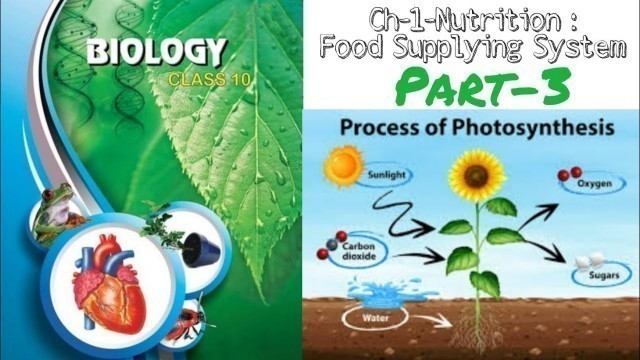 'Chapter-1-Nutrition: Food Supplying System | Part-3 | Class-10th | SSC (TS) | Success Studies'