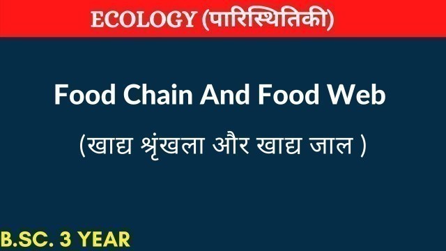 'food chain and food web|khadya shrinkhala|food chain for bsc 3rd year|MudgalBiology'