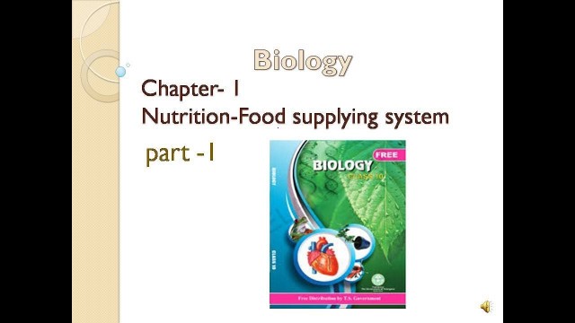 'L\'s.1 nutrition-food supplying system'