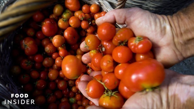 'This Man Is Saving Santorini\'s Heritage Tomatoes'