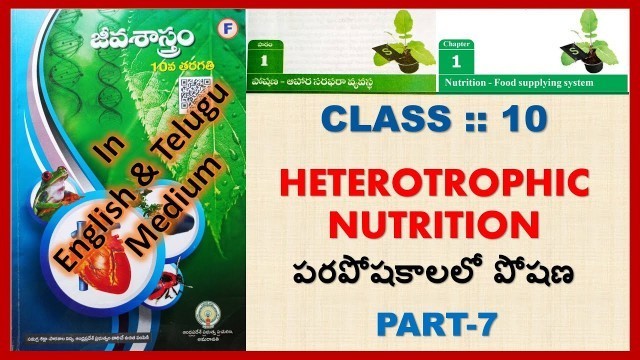 'Heterotrophic Nutrition||Nutrition-Food supplying system'