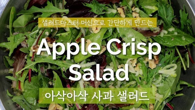 '샐러드마스터 머신 사과 샐러드 Saladmaster Food Processor Apple Crisp Salad'