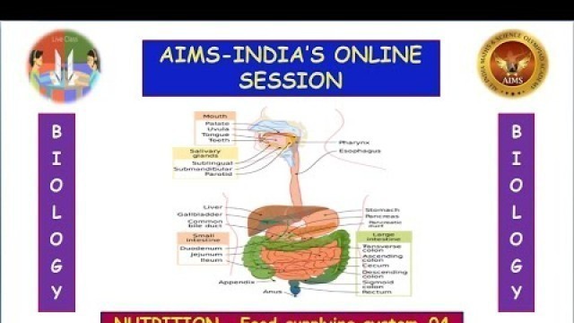 '10TH-BIOLOGY-NUTRITION-Food supplying system-PART 04'