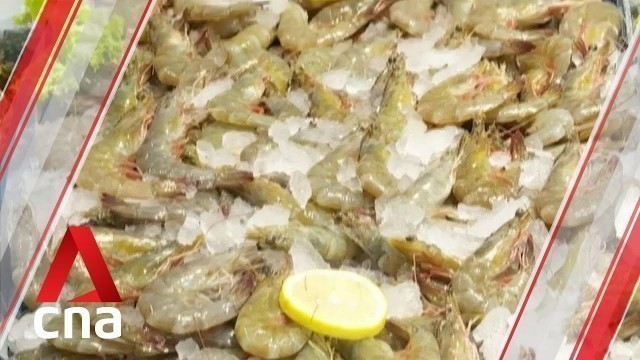 'Singapore adds shrimps from Saudi Arabia to list of imported food'