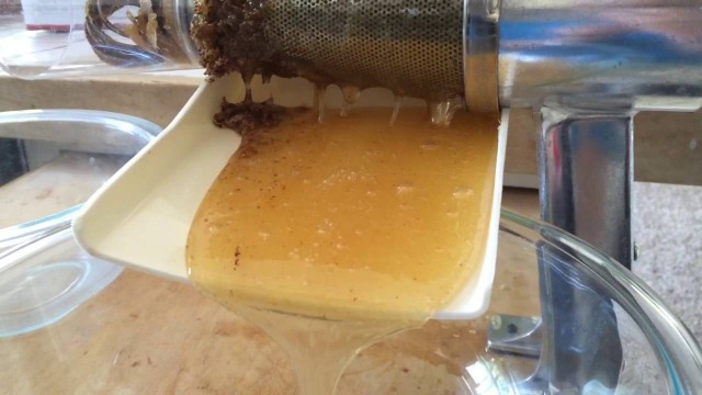 'Honey Extraction Using A Food Mill/Food Strainer'