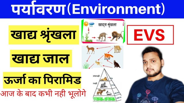 'पर्यावरण(EVS)- खाद्य श्रृंखला, खाद्य जाल, ऊर्जा का पिरामिड - Food chain, Food Web....'