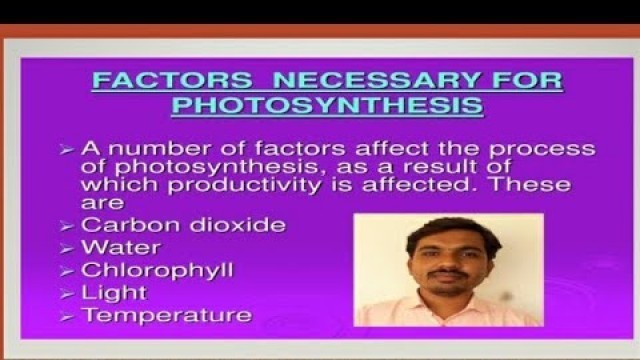 'Nutrition food supplying system 10th class'