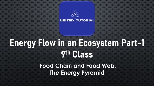 'Energy Flow in an Ecosystem Part-1 | 9th Class | Food chain and Food web, the energy pyramid'