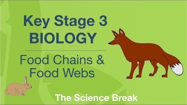 'Key Stage 3 Science (Biology) - Food Chains, Food Webs and Biodiversity'