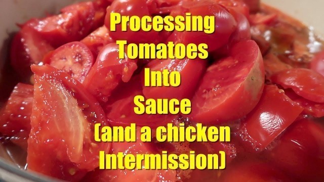 'Processing Tomatoes into Sauce using a Food Mill'