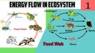 'Energy Flow in Ecosystem 01 | Ecosystem | Food Chain | Food Web | STD 9th'