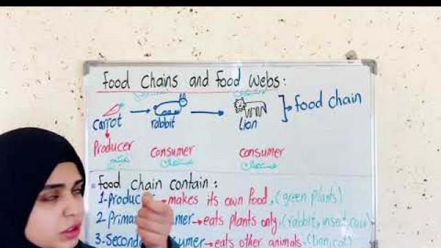 'Science, grade 6, Food Chains and Food Webs'