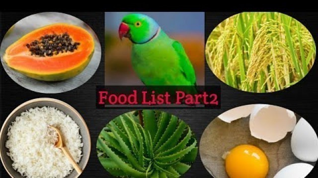 'Parrot Food List Part 2 || Parrot Healthy Food.'