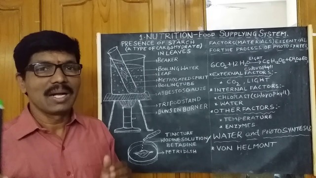 '1. NUTRITION - Food Supplying System. part - 2 , 19 May 2020'