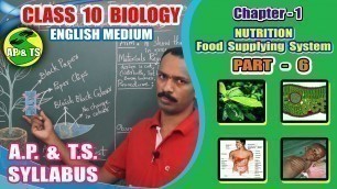 'Nutrition – Food Supplying System (Part-6) || Activity-3 | Black Paper Experiment ||'