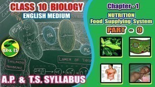 'Nutrition – Food Supplying System (Part-9) || Mechanism of Photosynthesis(Phase-1)Light Reactions ||'