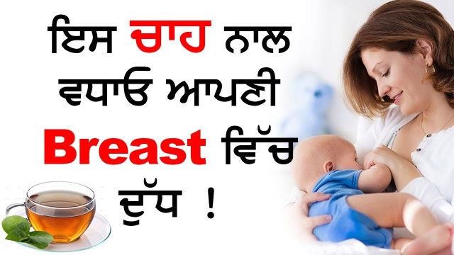 'How To Increase Breast Milk Supply Naturally | Foods to boost mothers milk supply​ | Punjabi'