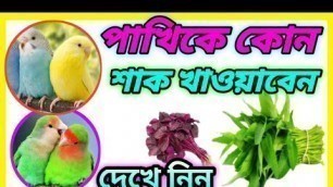 'পাখিকে কোন শাক খাওয়াবেন,baazigar bird food,love birds food list in bengali,birds food list,'