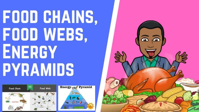 'Food chains, Food webs, & Energy pyramids'