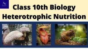 'Nutrition - Food supplying system (part-5) # Heterotrophic Nutrition# 10th Biology syllabus'