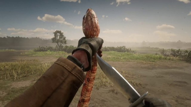 'Red Dead Redemption 2 - All Skinning Animations (First Person) - All Animals Skinned / Captured'