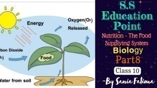 '#Part-8 #Nutrition - The Food Supplying System #Class10 #Biology ~By Sania Fatima'