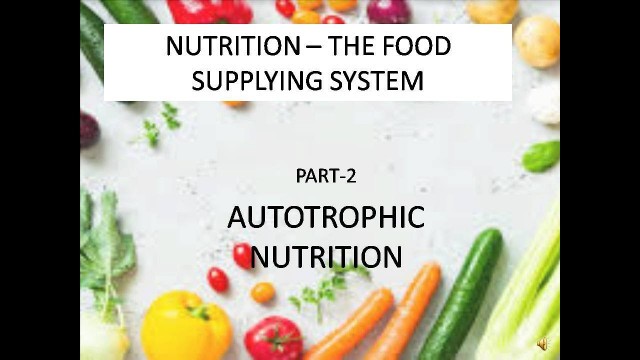 'NUTRITION--THE FOOD SUPPLYING SYSTEM (PART 2)'