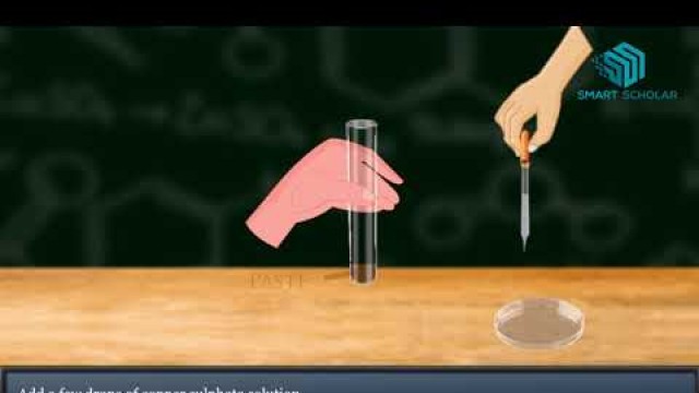 'Test food for Starch Protein Fat & Sugar- Science Animation'