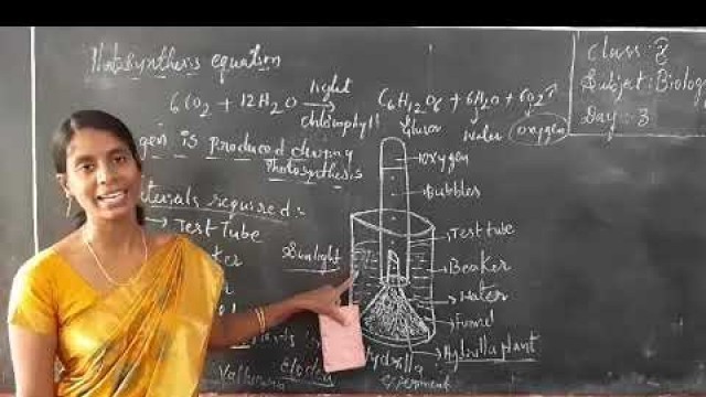 'SSC-N.S.-Nutrition Food Supplying System (Part 3)'