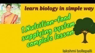 '10th biology 1.Nutrition-food supplying system, complete lesson with pictures'