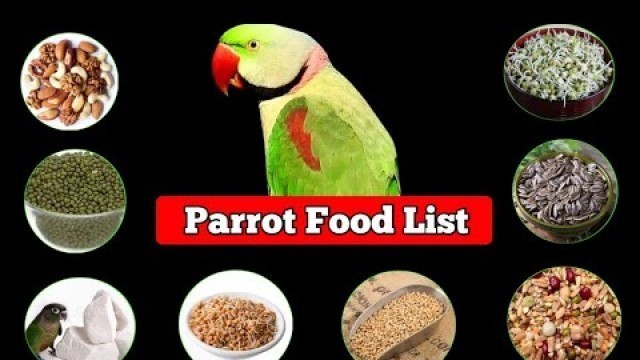 'Parrot Food List Part 2 ||  Parrot Healthy Food'