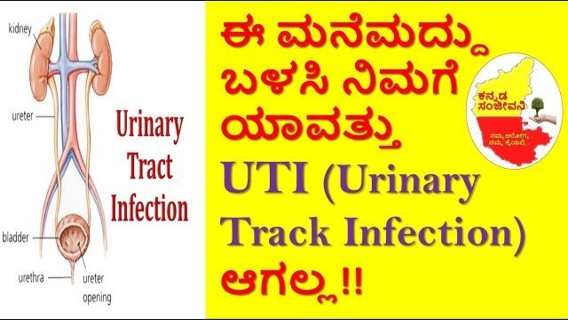 'Home remedies for Urinary Track Infection in Kannada | UTI | ಮೂತ್ರನಾಳದ ಸೋಂಕು | Kannada Sanjeevani'