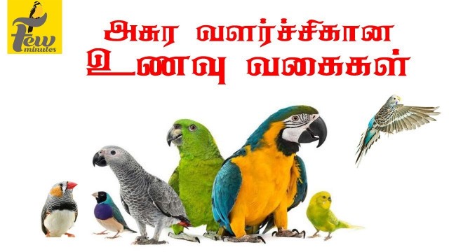 'all birds best and healthy food and seed list Tamil'