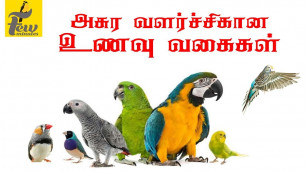 'all birds best and healthy food and seed list Tamil'