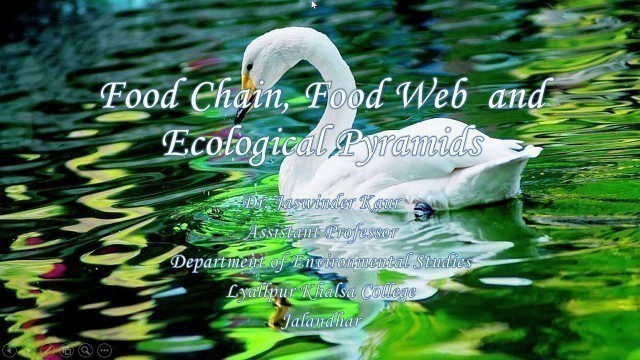 'Food Chain, Food Web  and Ecological Pyramids'