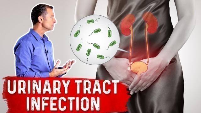 'Top Natural Remedies for a UTI (Urinary Tract Infection)'