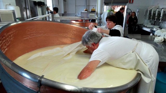 'INSIDE THE FACTORY | CHEESE MAKING & DAIRY MAKING'