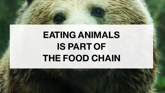 'Humans Are at the Top of the Food Chain'