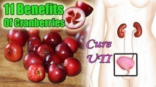 '11 Amazing Benefits of Cranberries, Rich Antioxidant, Heart Healthy, Prevent UTI & More!'