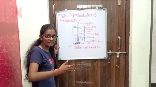 'nutrition food supplying system part 4'