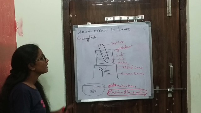 'Nutrition food supplying system part 2'