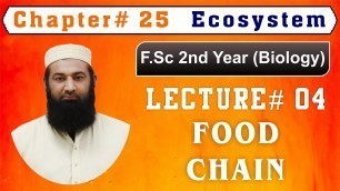 'Biology Ch#25-Lecture#04  food chain (F.Sc 2nd Year)'