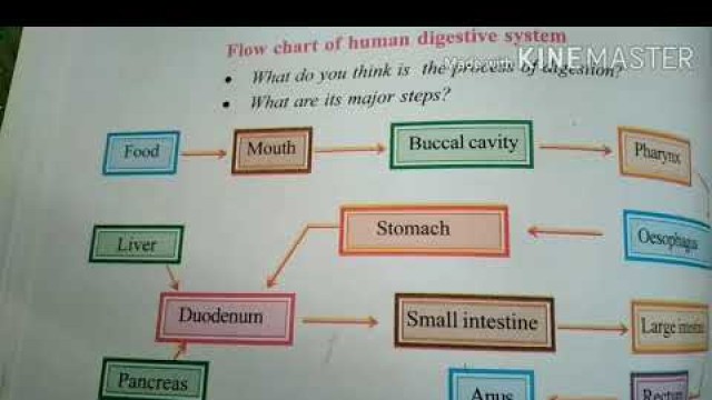 'SSC-N.S.- Nutrition Food Supplying System (Part 7)'