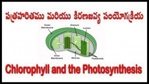 'Autotrophic Nutrition: Nutrition |Biology |Science|10 th class|nutrition the food supplying system'