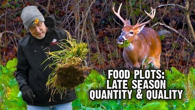 'Winter Food Plot Check List: Bigger Antlers and Healthier Fawns  (603)'