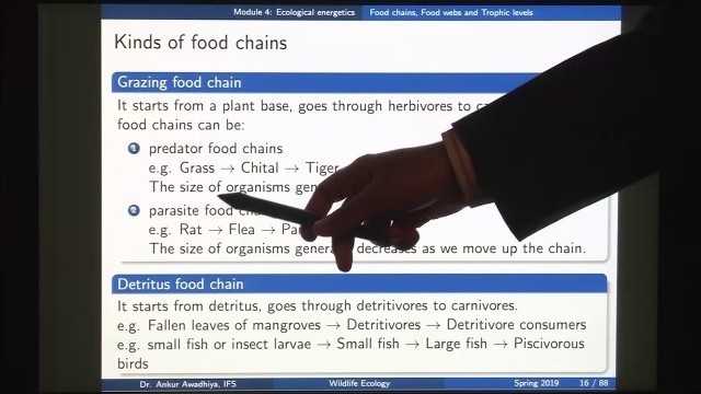 'Food chains, Food webs and Tropic levels'