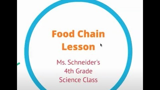 'Food Chain Mini-Lesson'